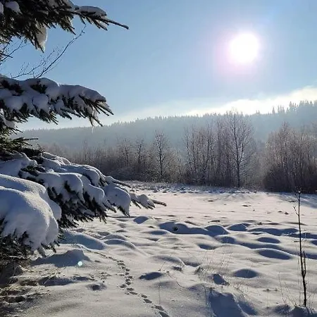 Osada - Uroczy Dom Z Kominkiem I Balią W Górach Sowich Chalet Sierpnica