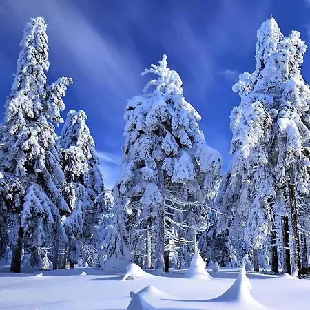 Osada - Uroczy Dom Z Kominkiem I Balia W Gorach Sowich Horská chata Sierpnica