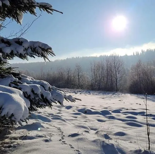 Osada - Uroczy Dom Z Kominkiem I Balia W Gorach Sowich Chalet Sierpnica