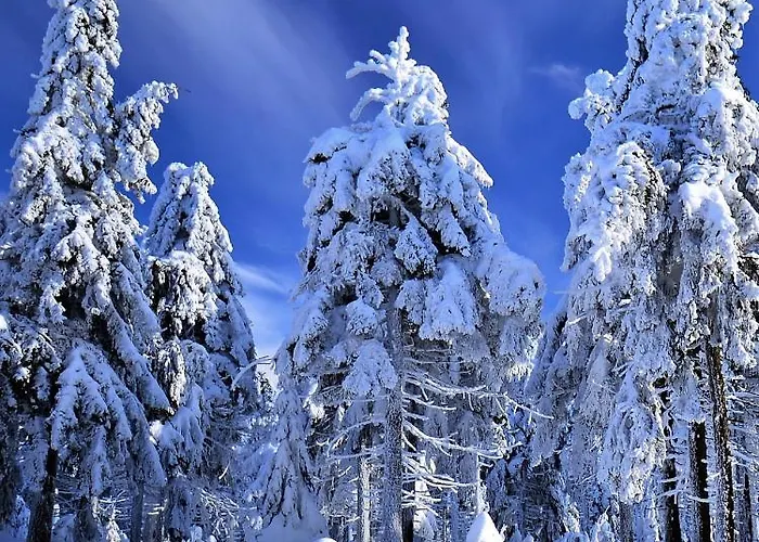 Osada - Uroczy Dom Z Kominkiem I Balia W Gorach Sowich Chalet Sierpnica